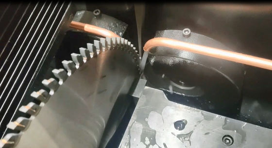 Torsel Máquina de afiar serras automática completa Indústrias de carpintaria