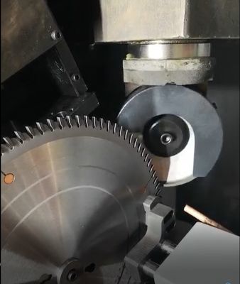 Máquina de moagem automática de lâmina TCT Torsel de alta precisão